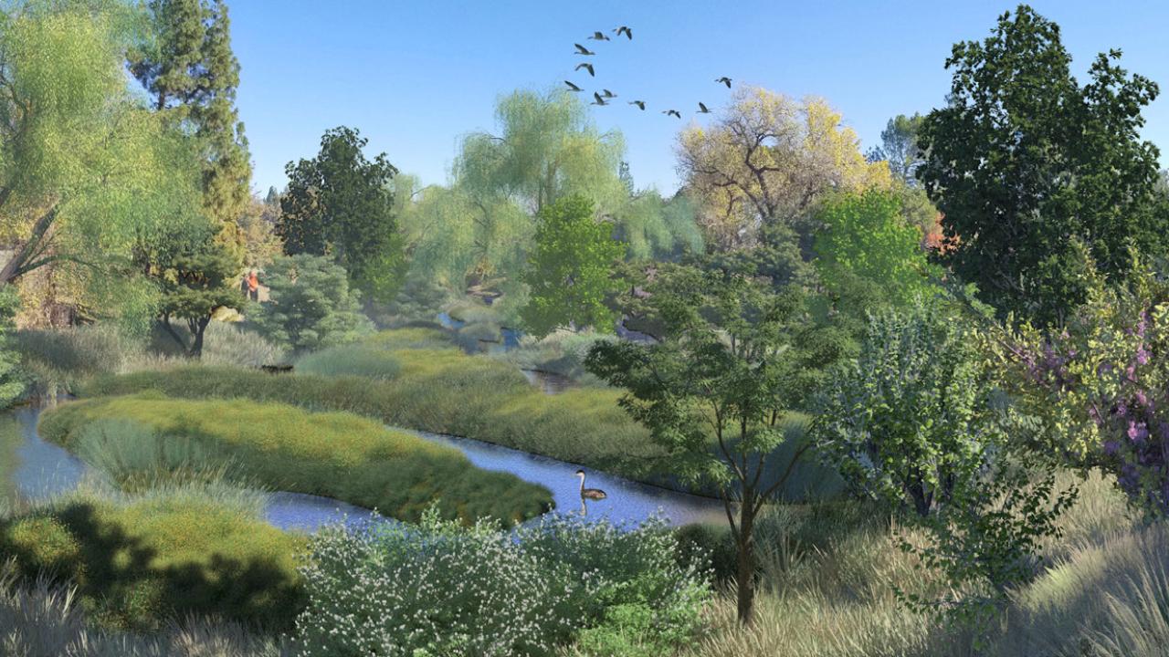 Rendering of Arboretum Waterway improvements