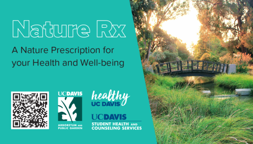 Image of nature prescription card with image of bridge in natural area on campus in the UC Davis Arboretum, the text Nature Rx a nature prescription for your health and well-being, a QR code and wordmarks for the UC Davis Arboretum and Public Garden, Healthy UC Davis, UC Davis student health and counseling services.