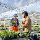 A plant sale expert talks with a visitor