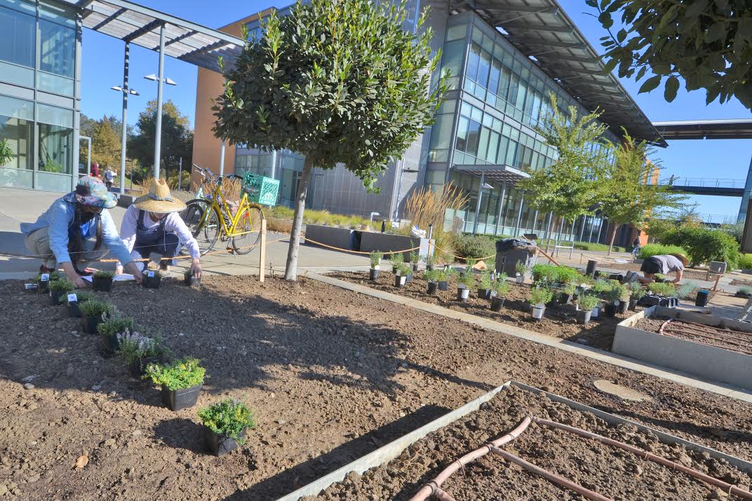 Photo of Good Life Garden