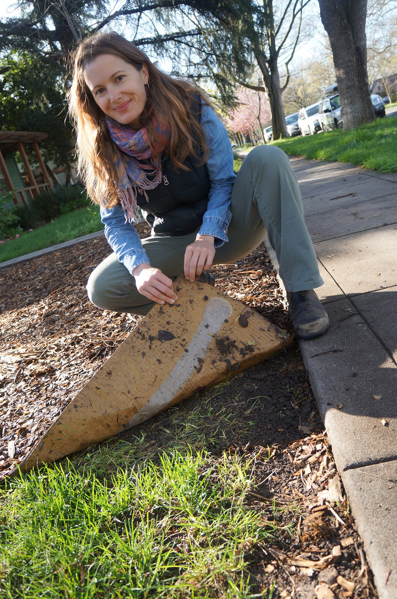 Break Up With Your Lawn Use Cardboard To Say Goodbye With No