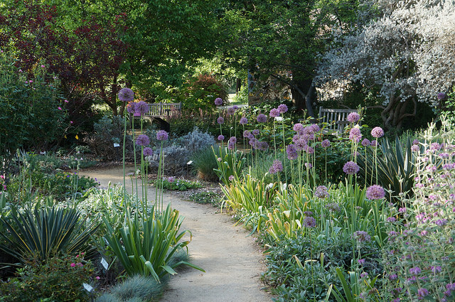 Ruth Risdon Storer Garden