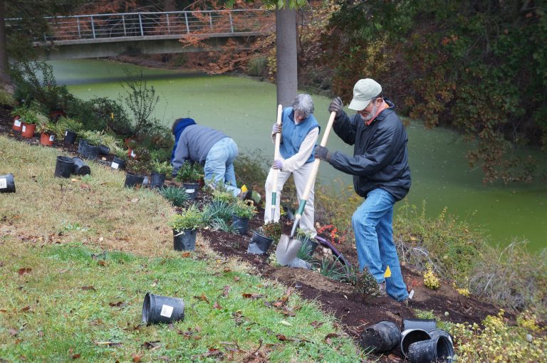 Planting