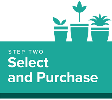 Step 2: Select and purchase