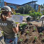 Image of gardeners planting the Good Life Garden