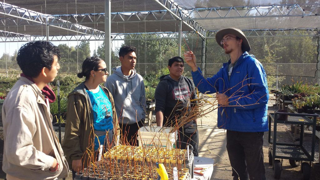 Student Intern Leads Workshop on Propagating Trees