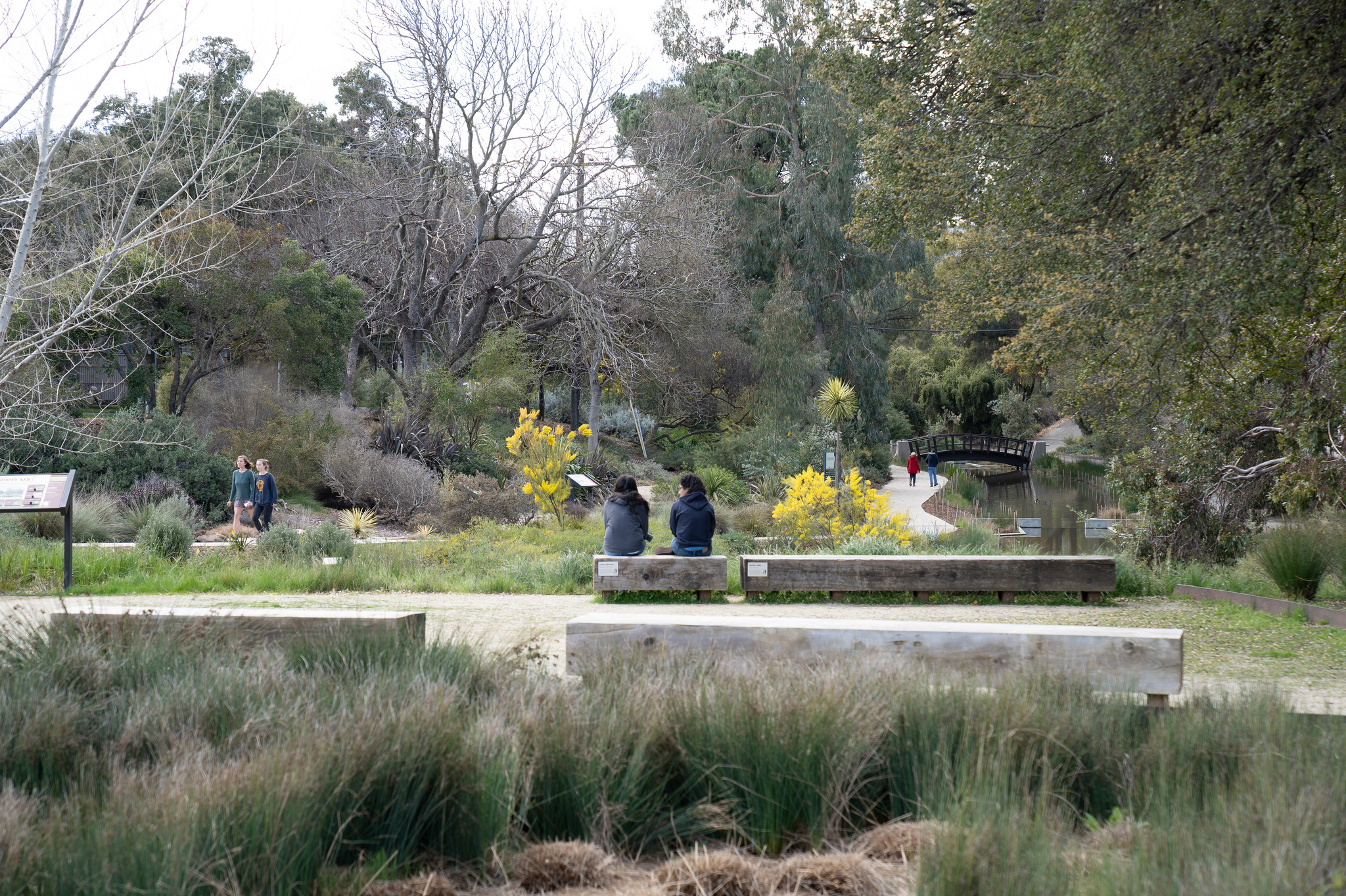 people in a seating area 