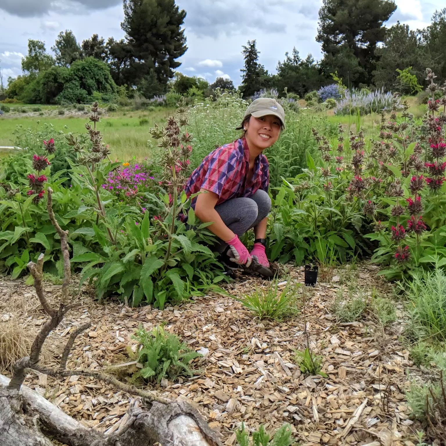 Image of UC Davis Arboretum and Public Garden Learning by Leading student planting in the pollinator garden.