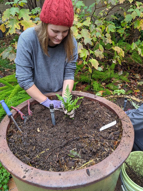 A Habitat Horticulture intern hard at work planting a pollinator plant into a pot to be showcased in the Arboretum Terrace Garden. 