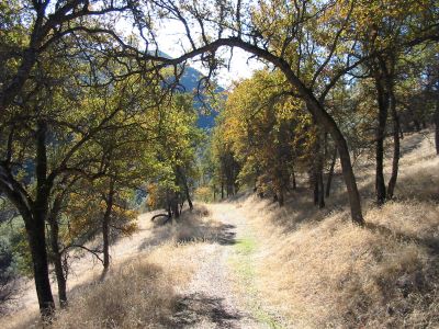 Image of Frog Pond Trail.