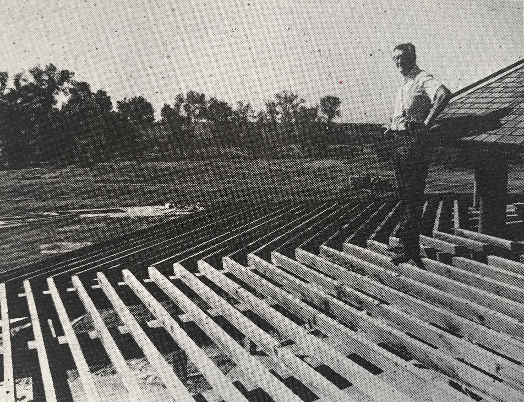 Dr. Tucker surveys the Arboretum from the Gazebo roof.