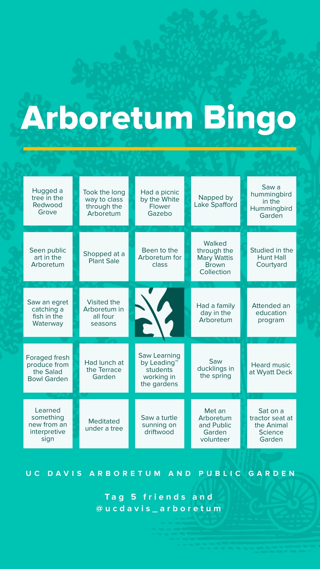 Arboretum Bingo Card