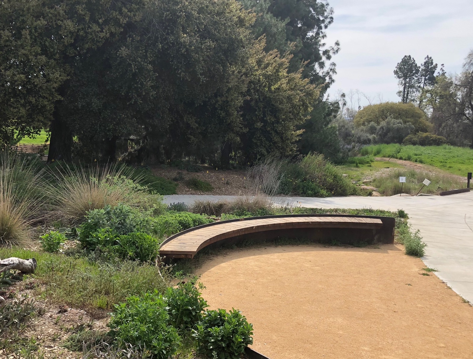 Bench at pollinator garden 