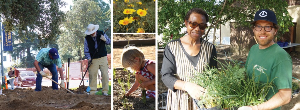 Volunteers needed for community planting days