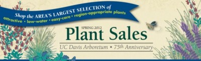 Plant sales and excellent press!