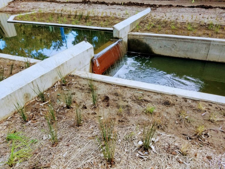 A weir in the Arboretum Waterway