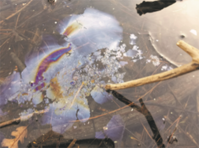 bacteria film breaking up on water surface