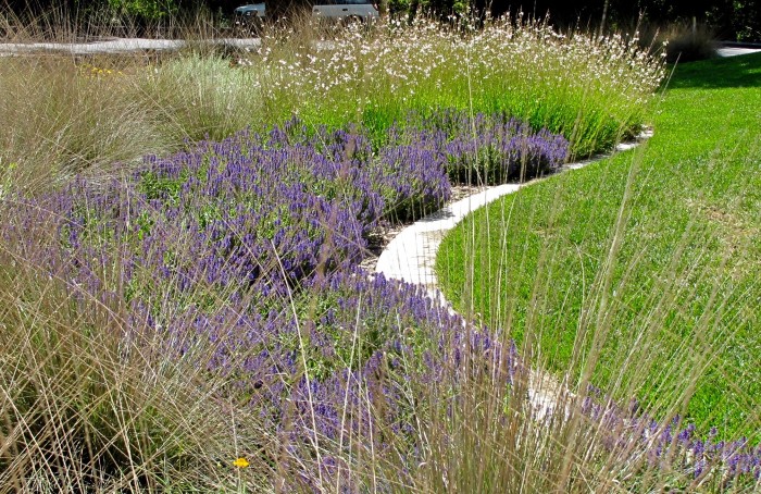 Plants in Mrak Hall Circle