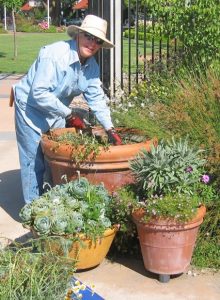 Container in garden