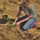 Naturalized Lands and Habitat Restoration