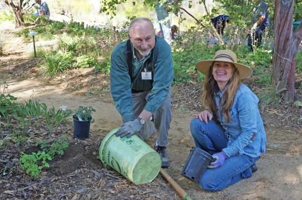 Native garden offers seasonal inspiration