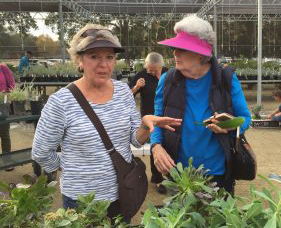 Volunteers swap plants and gardening tips