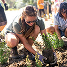 Sustainable Horticulture