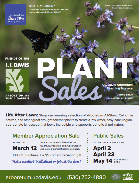 Saturday, May 14: Clearance plant sale