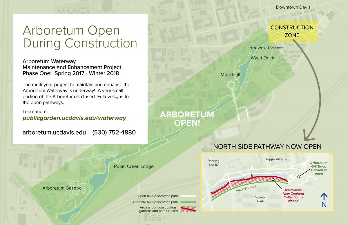 Arboretum open during construction