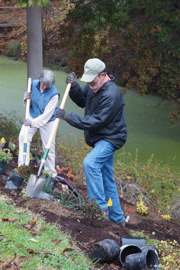 UC Davis Arboretum and Public Garden volunteers 