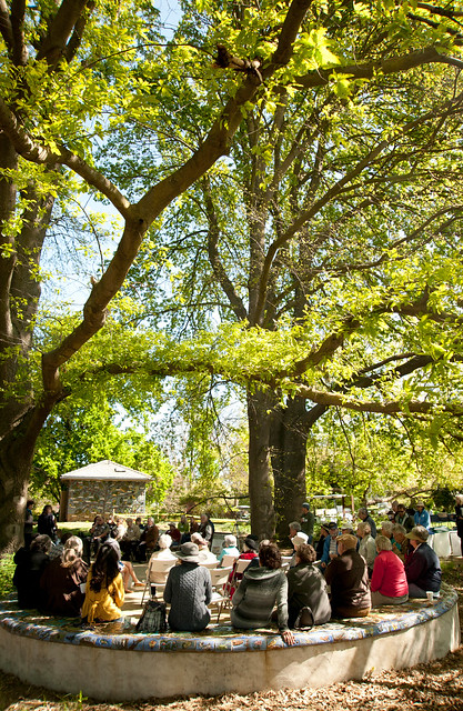 A group of visitors sitting in the oak grove