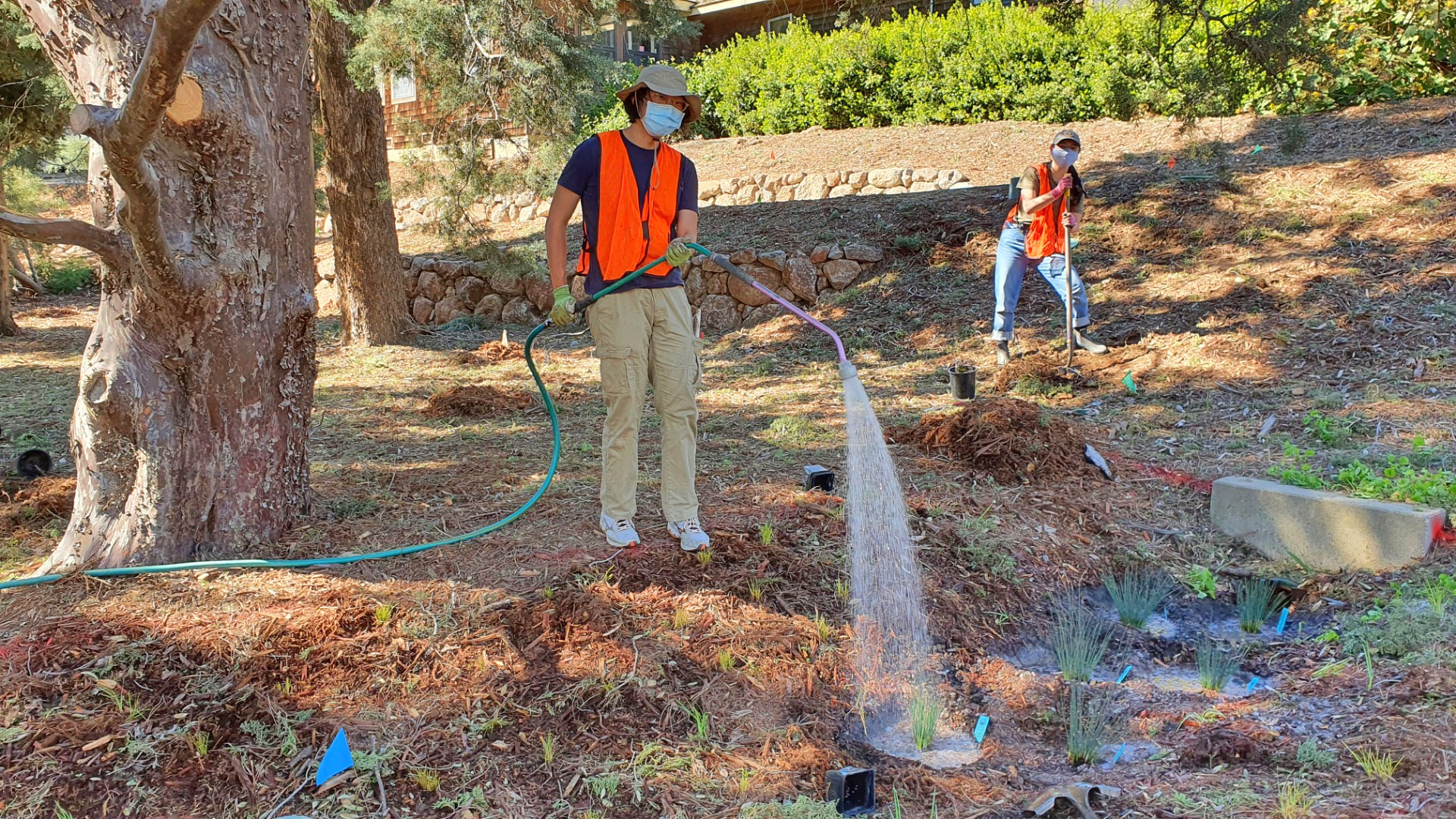 Image of UC Davis students planting a new landscape around the La Rue Road Bridge.