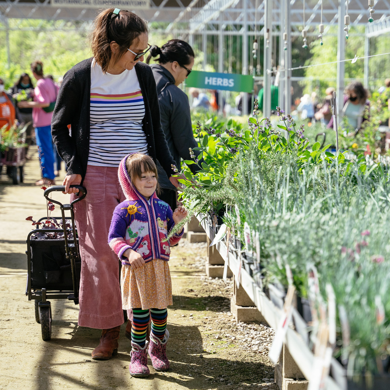 Image of a young girl and her mother shopping at the Arboretum Teaching Nursery during a public Plant sale.