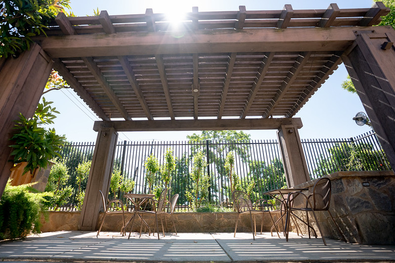 A low-angle view of a wooden pergola casting striped shadows on a sunny patio in the UC Davis Arboretum Terrace Garden. Beneath the pergola are small round café tables and metal chairs, framed by a black metal fence and vibrant green plants. Sunlight shines through the slats, creating a warm and inviting atmosphere.
