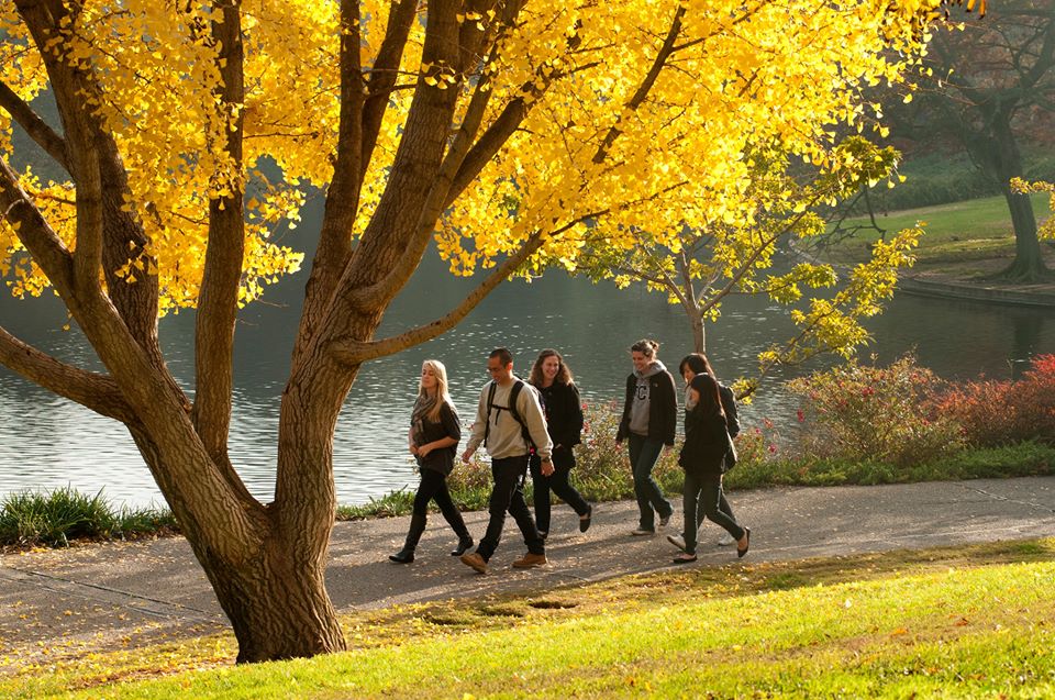 Group of people walk through the Arboretum in fall