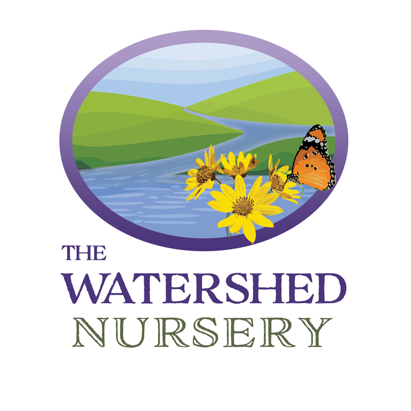 landscape clipart of water and green grass. yellow flowers in the foreground with a monarch butterfly on a flower. below in purple and green text reads The Watershed Nursery