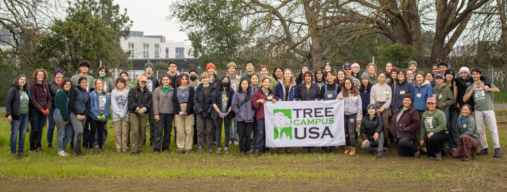 Image of large group of UC Davis students and staff at a tree planting event holding up a Tree Campus USA banner.