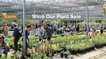 Shop our plant sales