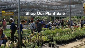 Shop Our Plant Sale