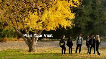 Plan Your Visit