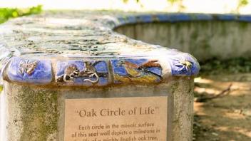 oak circle of life