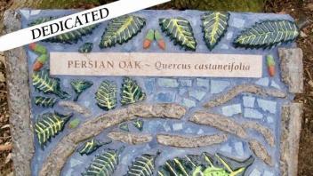 Persian oak plaque
