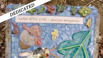 Sand Post Oak plaque