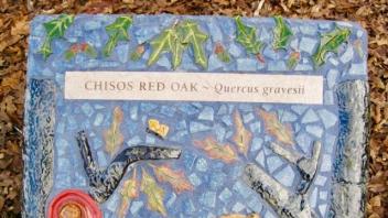 Chisos Red Oak plaque