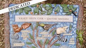 Vasey Shin Oak plaque