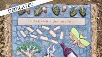 Cork Oak plaque