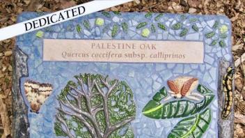 Palestine Oak Plaque