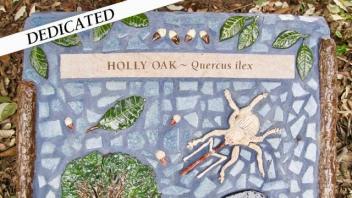 Holy Oak plaque
