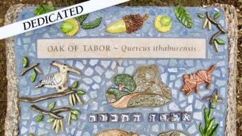 Oak of Tabor plaque