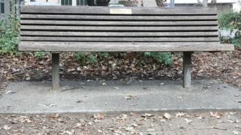 wooden bench in the arboretum